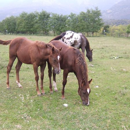 Agriturismo Al Ranch Castello d'Aviano Экстерьер фото