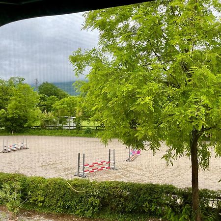 Agriturismo Al Ranch Castello d'Aviano Экстерьер фото