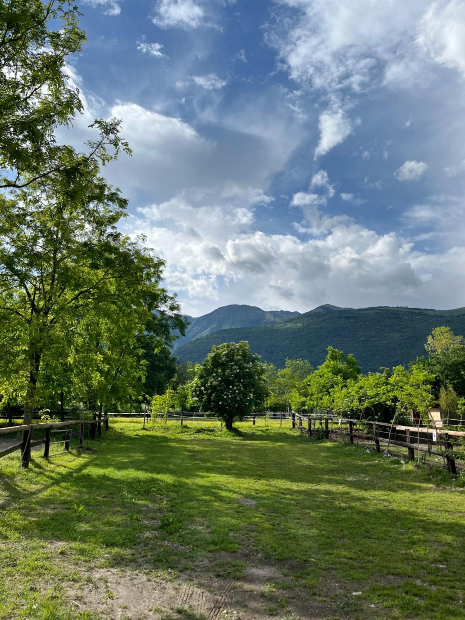 Agriturismo Al Ranch Castello d'Aviano Экстерьер фото
