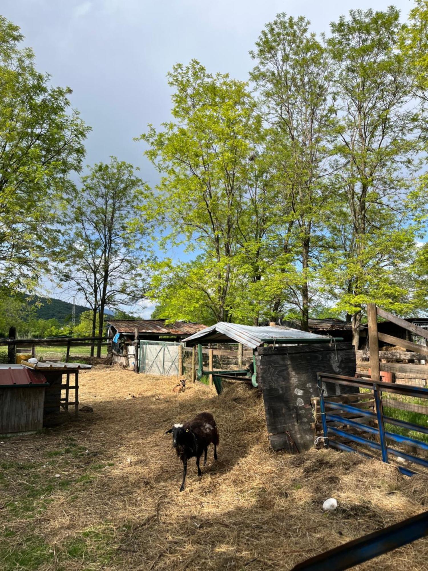Agriturismo Al Ranch Castello d'Aviano Экстерьер фото