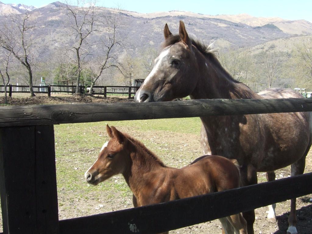 Agriturismo Al Ranch Castello d'Aviano Экстерьер фото