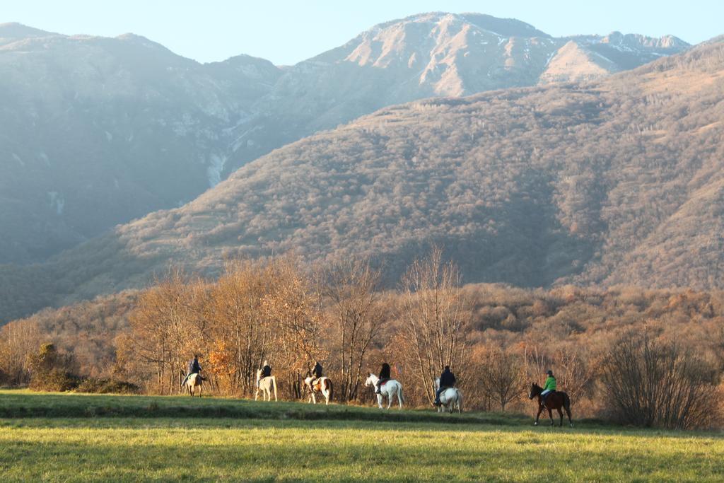 Agriturismo Al Ranch Castello d'Aviano Экстерьер фото